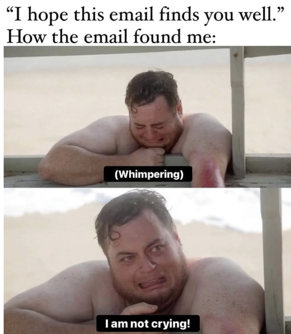best work memes - "I hope this email finds you well." How the email found me Whimpering I am not crying!