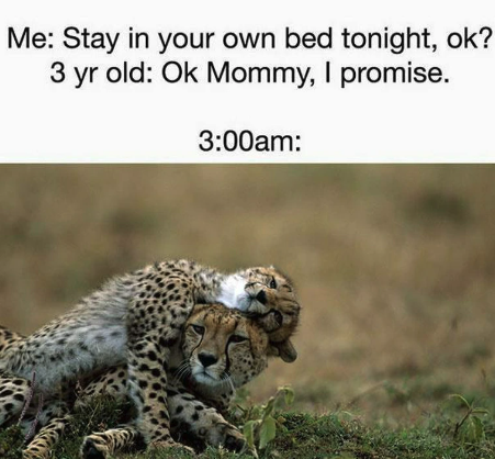 toddler memes - Me Stay in your own bed tonight, ok? 3 yr old Ok Mommy, I promise. am