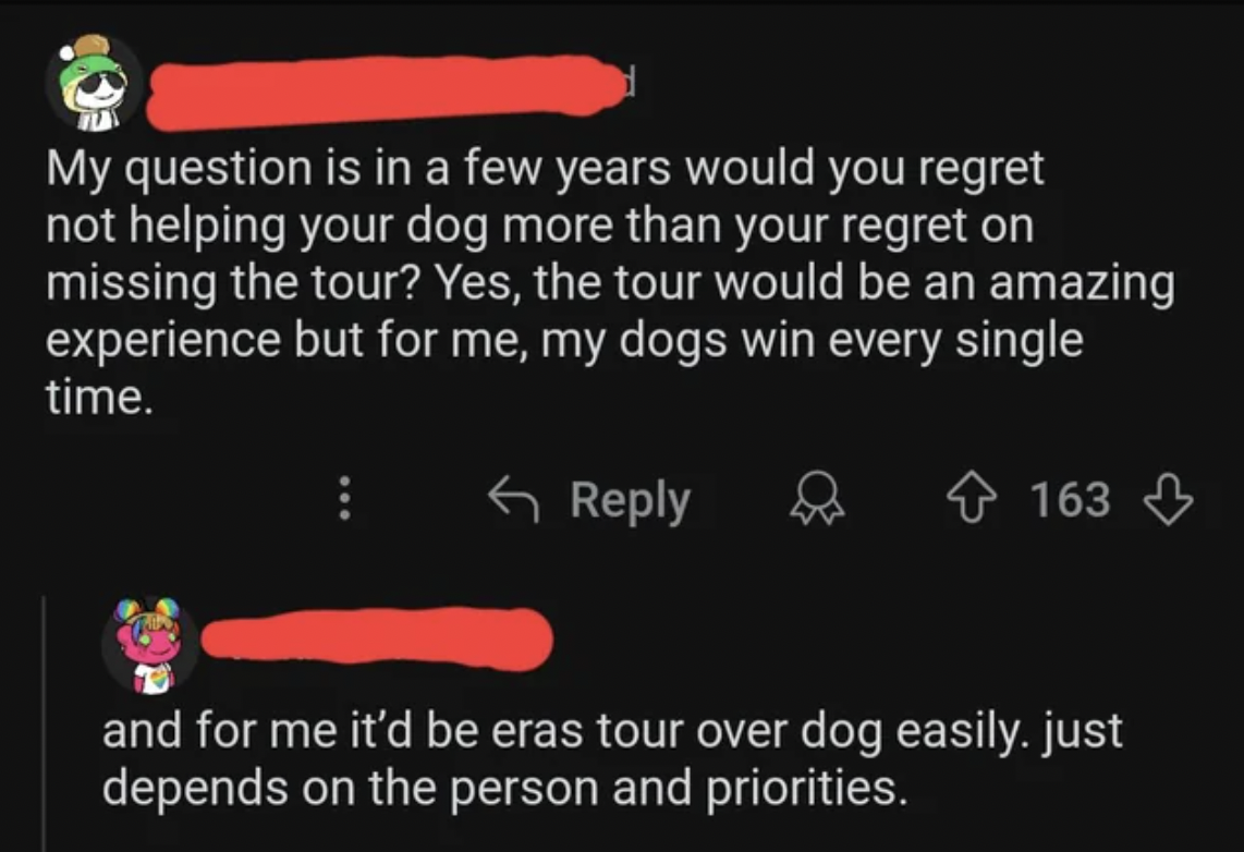 number - My question is in a few years would you regret not helping your dog more than your regret on missing the tour? Yes, the tour would be an amazing experience but for me, my dogs win every single time. 163 and for me it'd be eras tour over dog easil