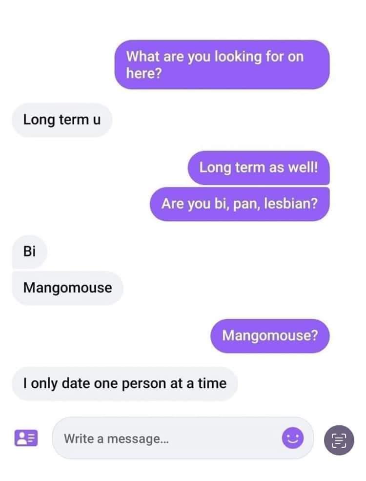 mangomouse meme - Long term u Bi Mangomouse What are you looking for on here? Long term as well! Are you bi, pan, lesbian? I only date one person at a time Mangomouse? Write a message...