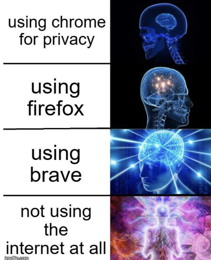 meme brain size - using chrome for privacy using firefox using brave not using the internet at all