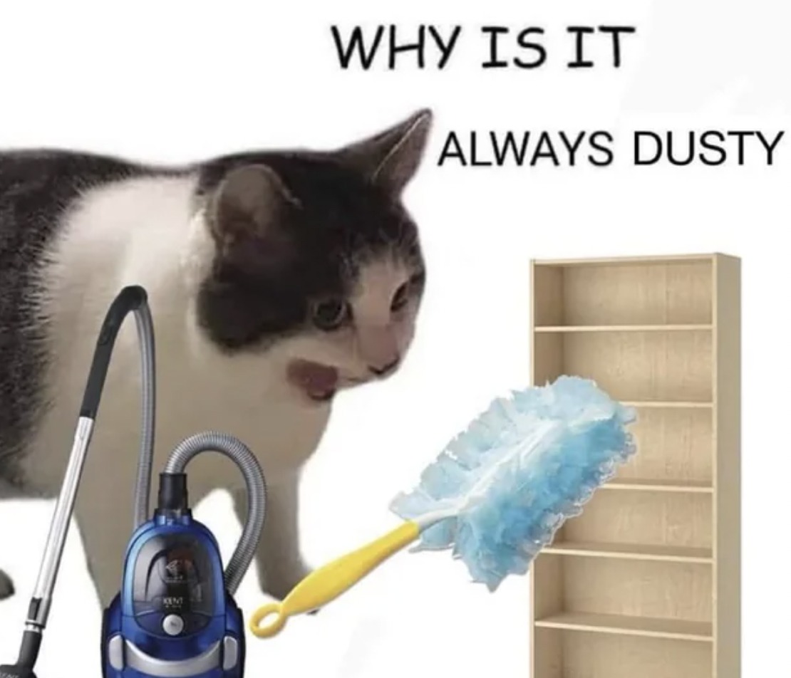 cat why is it always dusty - Why Is It Always Dusty