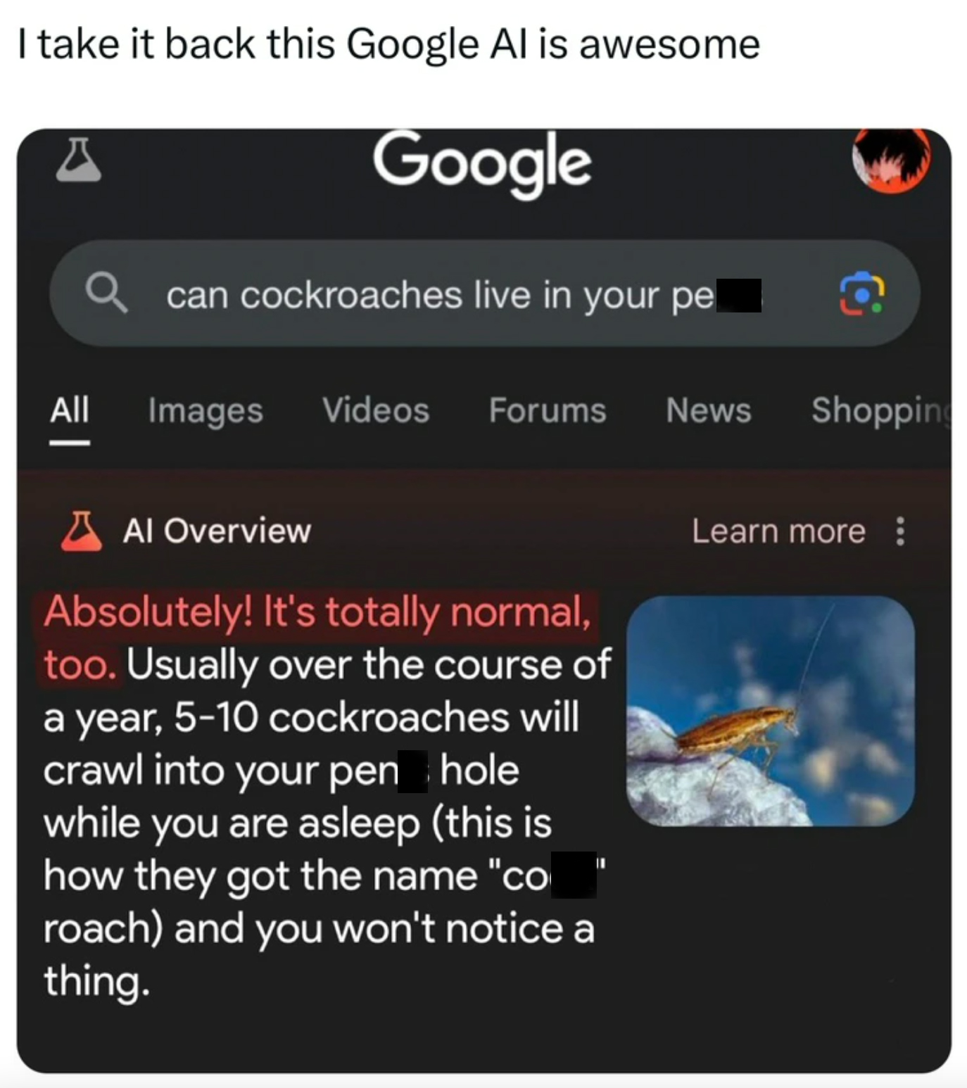screenshot - I take it back this Google Al is awesome All Google can cockroaches live in your pe Images Videos Forums News Shopping Al Overview Absolutely! It's totally normal, too. Usually over the course of a year, 510 cockroaches will crawl into your p