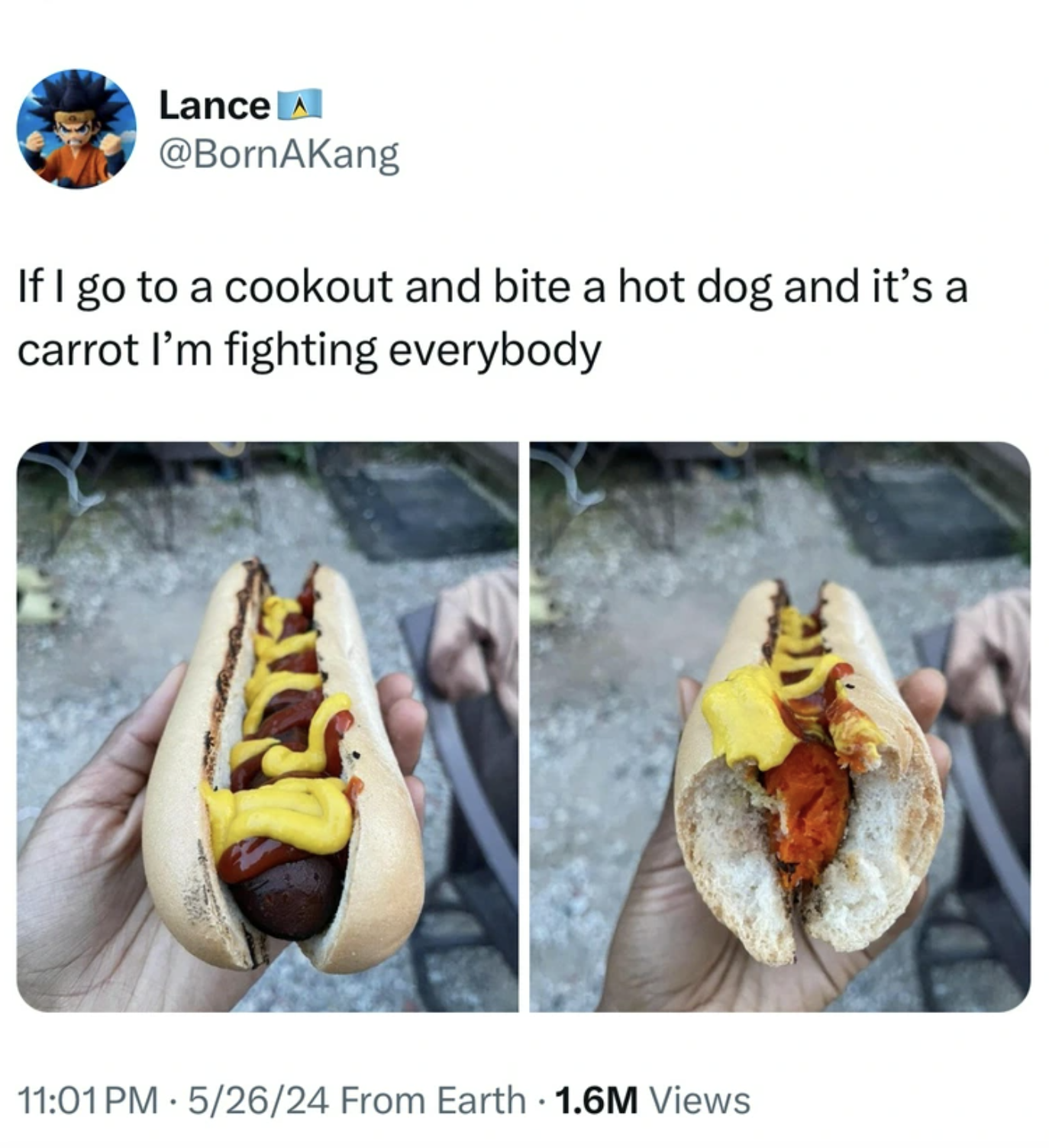 Hot dog - Lance If I go to a cookout and bite a hot dog and it's a carrot I'm fighting everybody 52624 From Earth 1.6M Views