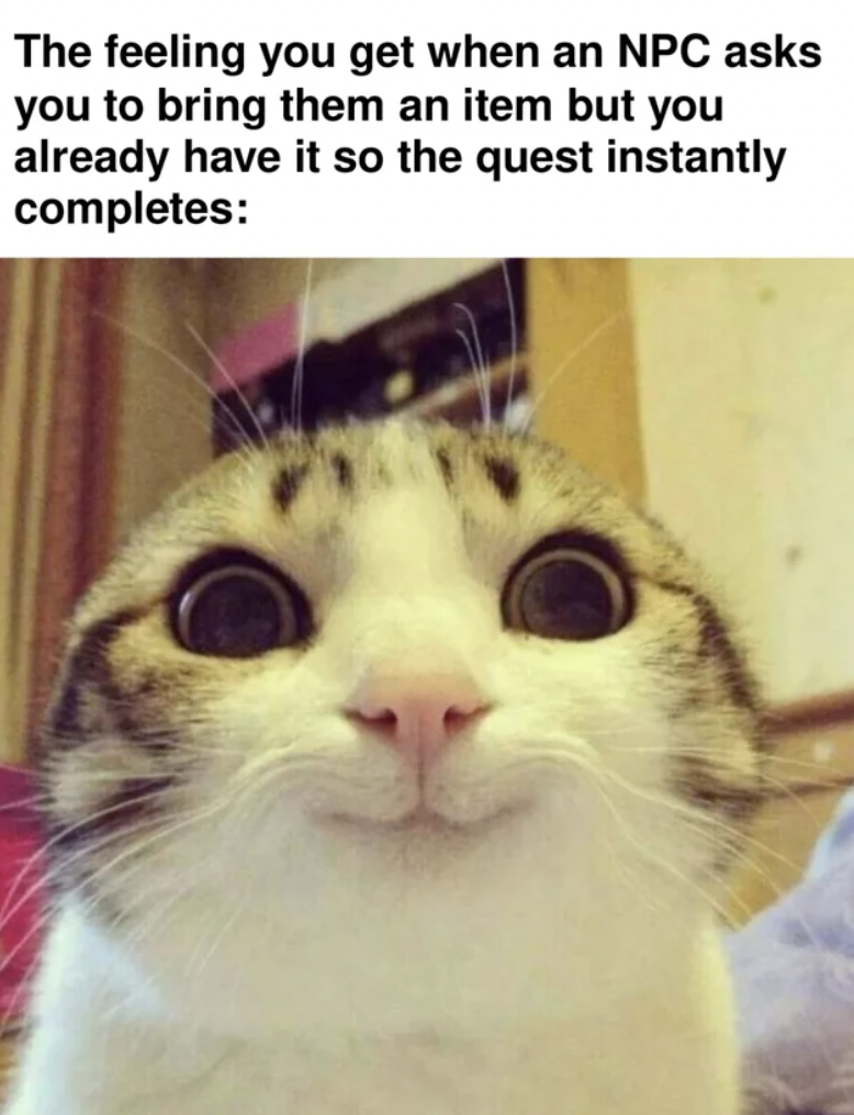 funny cat smile - The feeling you get when an Npc asks you to bring them an item but you already have it so the quest instantly completes
