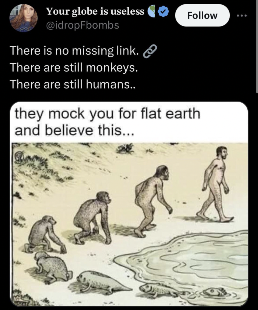 bizarro dan piraro - Your globe is useless There is no missing link. There are still monkeys. There are still humans.. they mock you for flat earth and believe this...