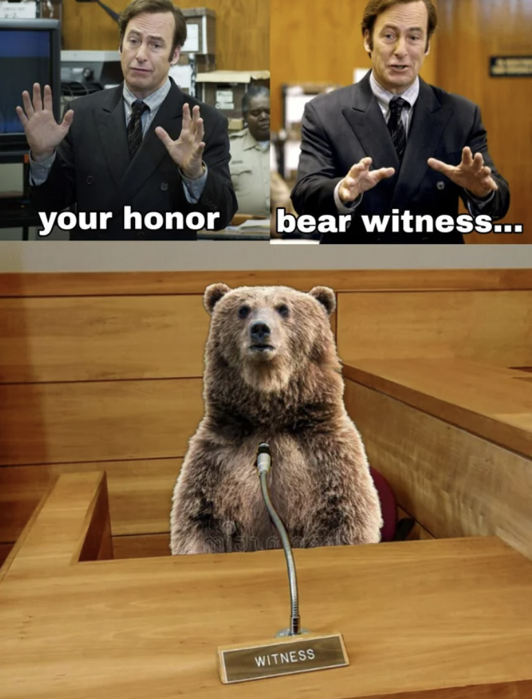 grizzly bear - your honor bear witness... Witness