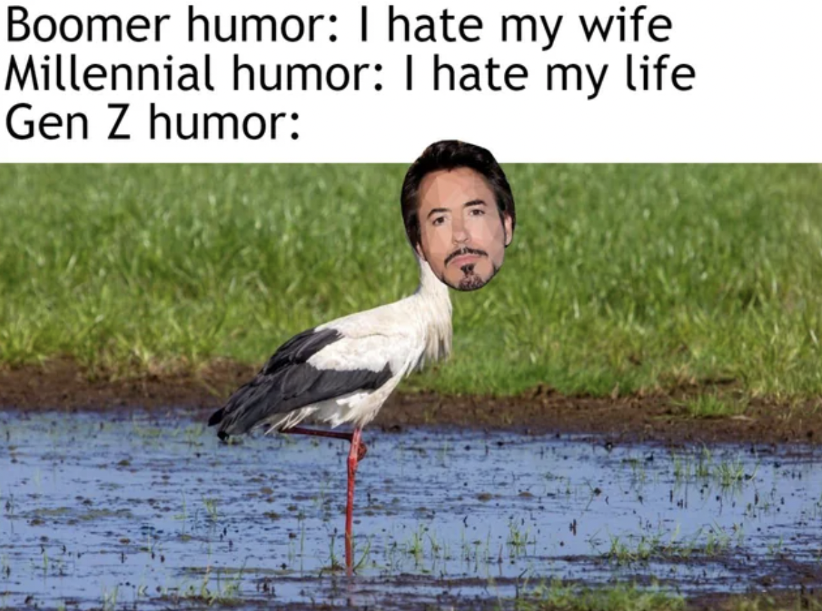 water bird - Boomer humor I hate my wife Millennial humor I hate my life Gen Z humor