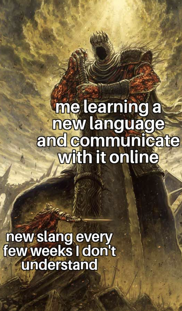 dnd gods meme - me learning a new language and communicate with it online new slang every few weeks I don't understand
