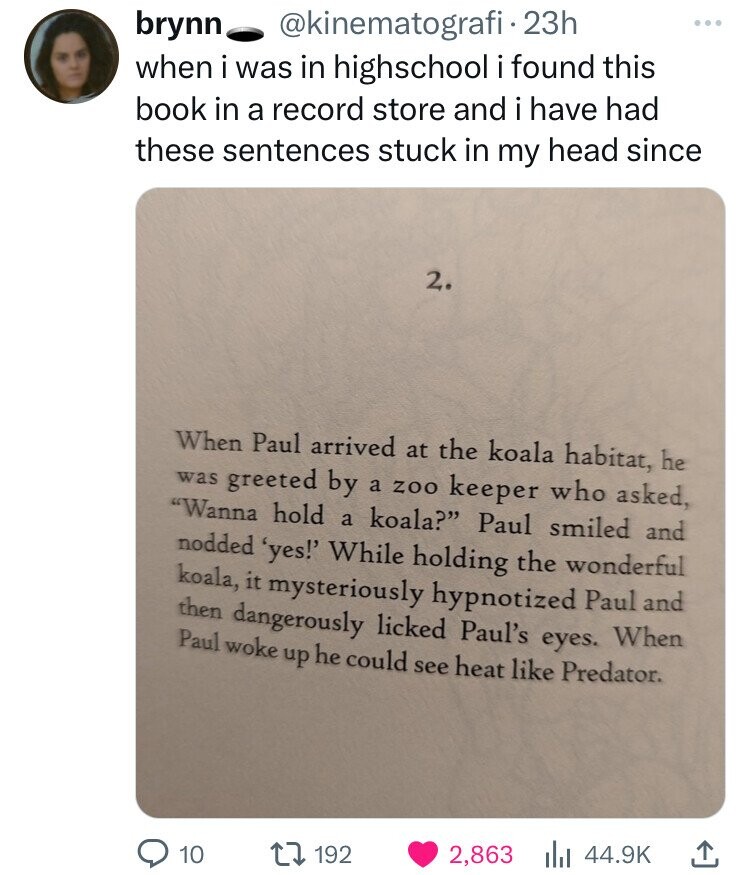 document - brynn . 23h when i was in highschool i found this book in a record store and i have had these sentences stuck in my head since 2. When Paul arrived at the koala habitat, he was greeted by a zoo keeper who asked, "Wanna hold a koala?" Paul smile