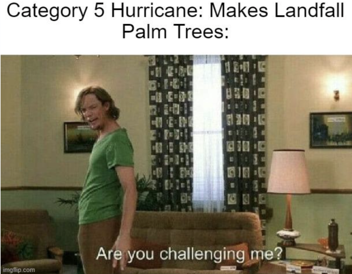 shaggy are you challenging me fnaf - Category 5 Hurricane Makes Landfall Palm Trees imgflip.com Are you challenging me?I