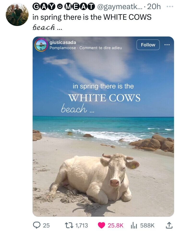 Sardinia - Gay Meat .... 20h in spring there is the White Cows beach... giusicasada Pomplamoose Comment te dire adieu in spring there is the White Cows beach... 25 1,713