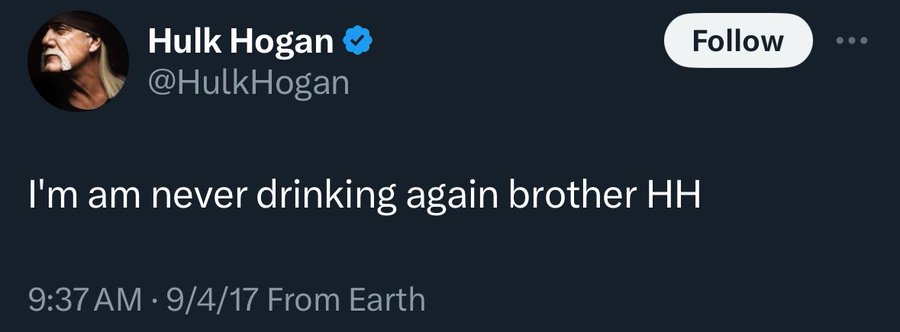 media - Hulk Hogan Hogan I'm am never drinking again brother Hh 9417 From Earth