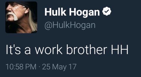 comedy - Hulk Hogan Hogan It's a work brother Hh 25 May 17