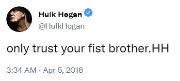 graphics - Hulk Hogan Hogan only trust your fist brother.Hh