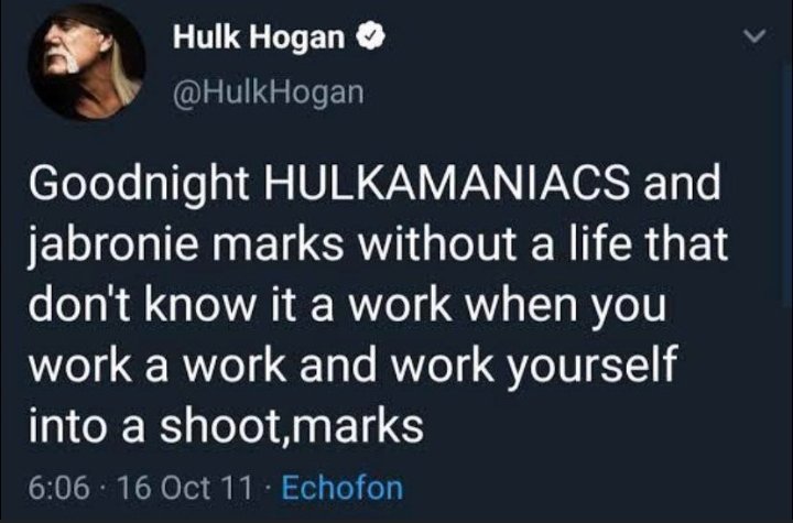 screenshot - Hulk Hogan Hogan Goodnight Hulkamaniacs and jabronie marks without a life that don't know it a work when you work a work and work yourself into a shoot,marks 16 Oct 11 Echofon