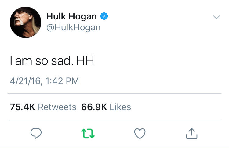 screenshot - Hulk Hogan Hogan I am so sad. Hh 42116, 27