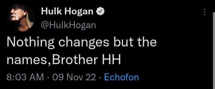 screenshot - Hulk Hogan Hogan Nothing changes but the names, Brother Hh 09 Nov 22 Echofon