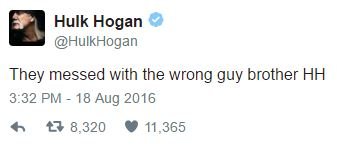 screenshot - Hulk Hogan Hogan They messed with the wrong guy brother Hh 8,320 11,365