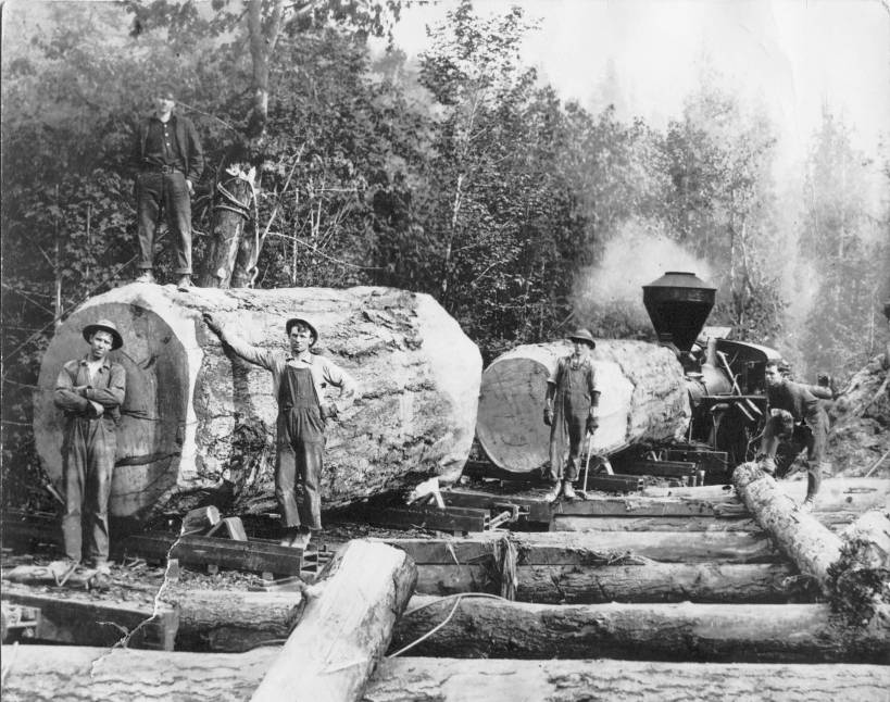 Logging in Kalama, Washington, 1880 -1899. 