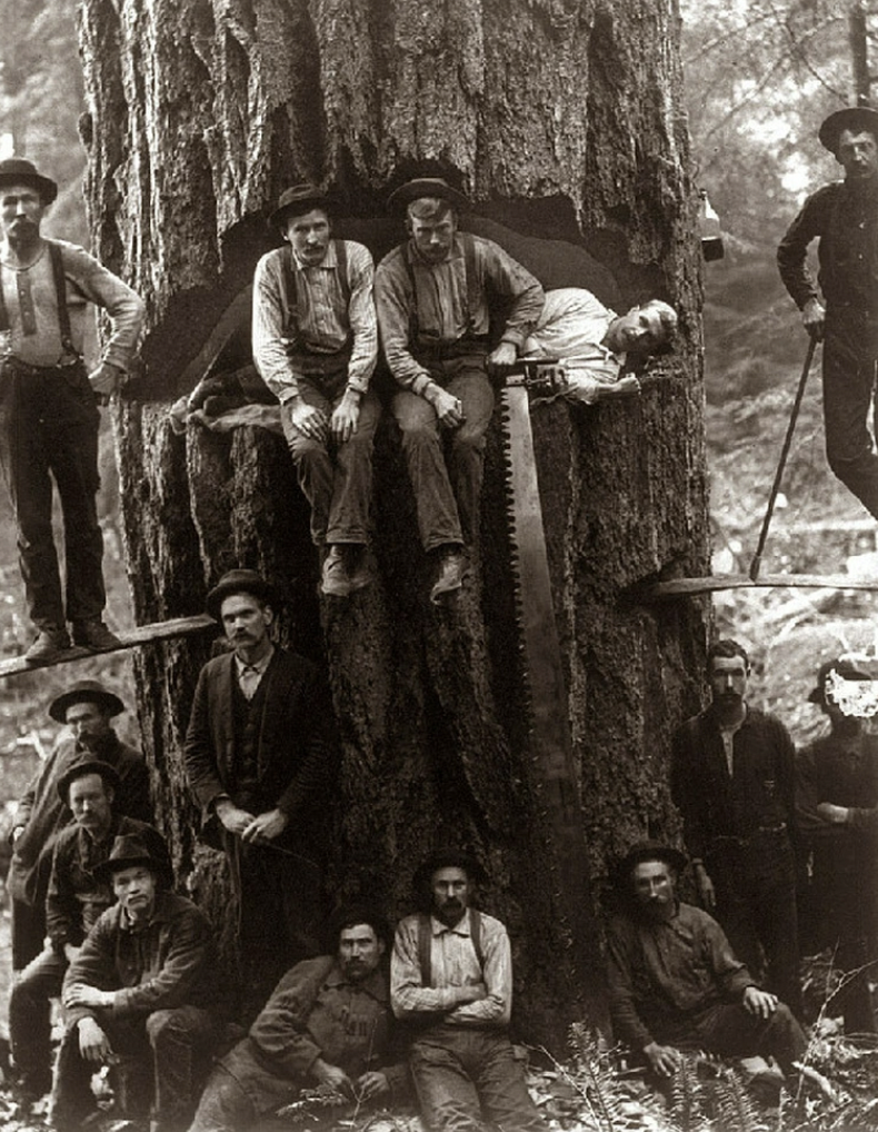 Lumberjacks, the Pacific NW about 1901.