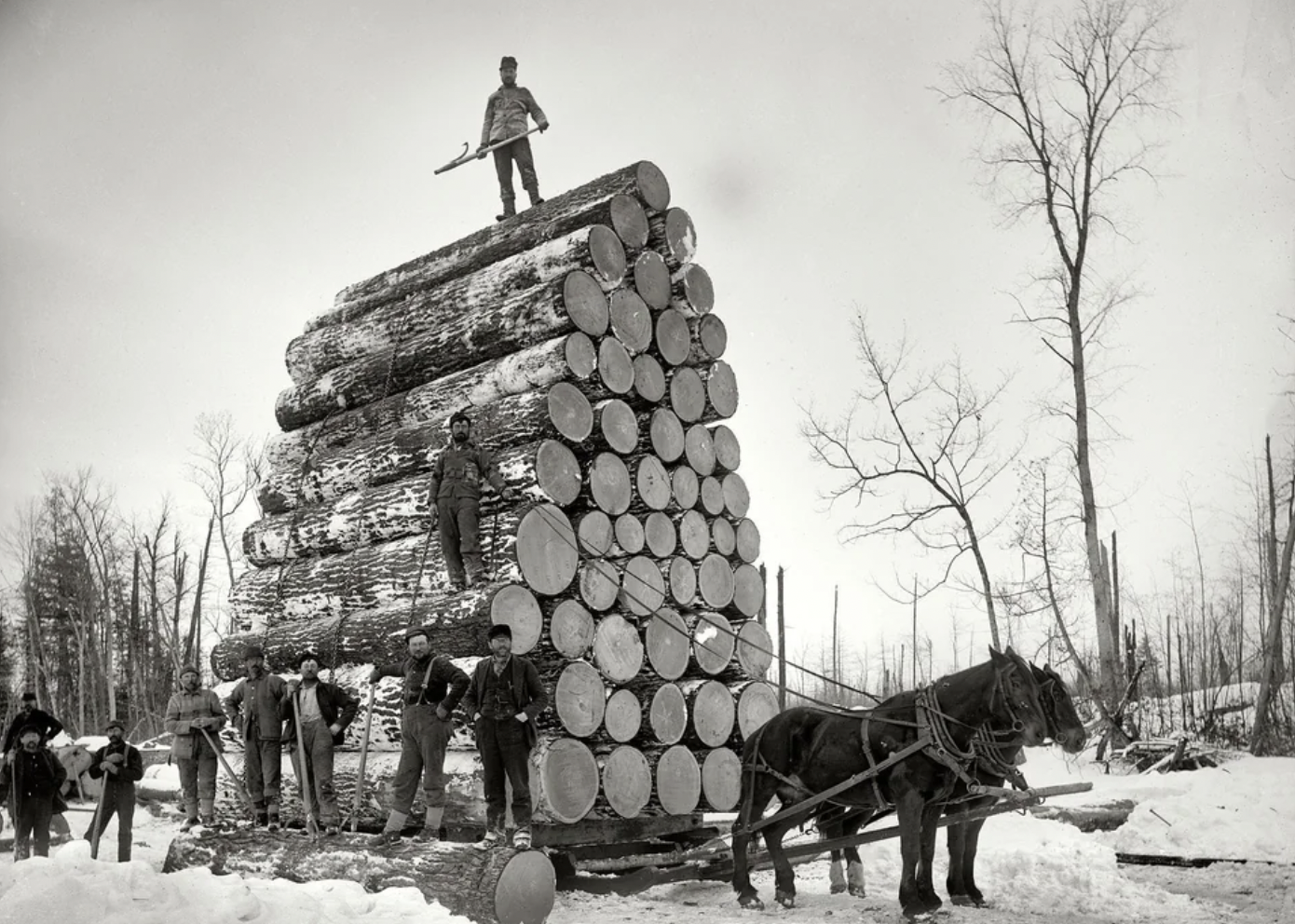 Michigan Loggers pose alongside their world record haul, a load of more than 36,000 board-feet of lumber destined for the 1893 Chicago World's Fair, circa 1890s.