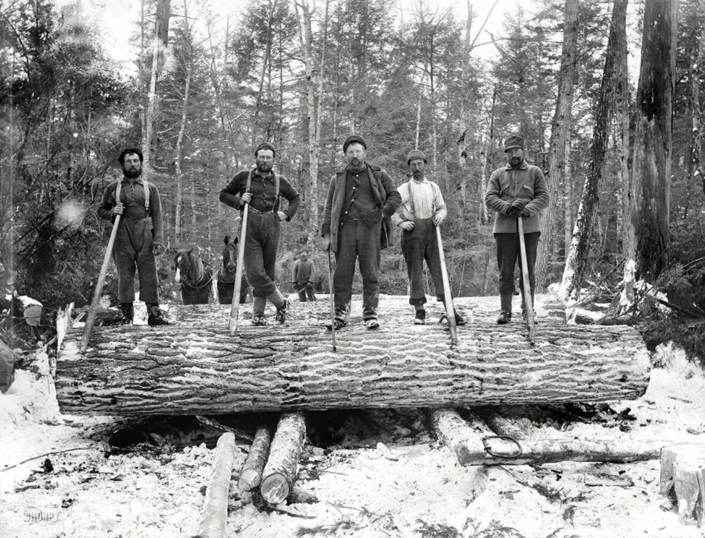 Lumberjacks in Upper Michigan, ca. 1899.