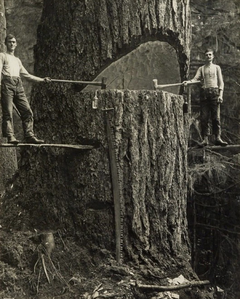Lumberjacks in Portland, 1915. 