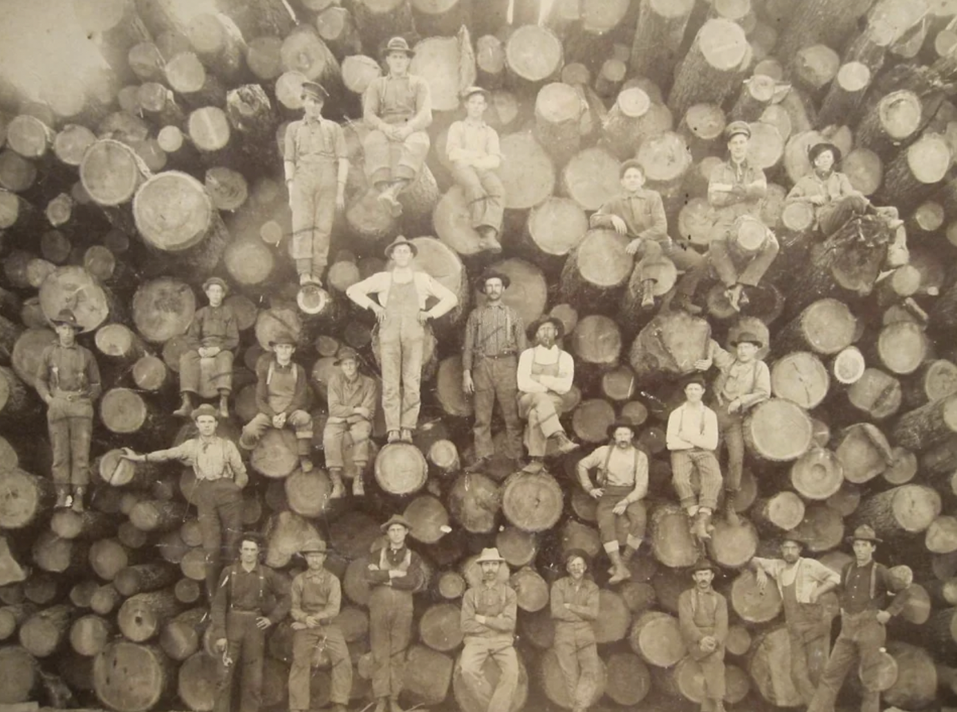 21 Old-Growth Logging Pics to Make You Feel Like Paul Bunyan