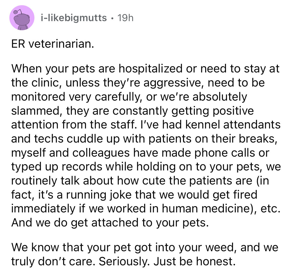 document - ibigmutts 19h Er veterinarian. When your pets are hospitalized or need to stay at the clinic, unless they're aggressive, need to be monitored very carefully, or we're absolutely slammed, they are constantly getting positive attention from the s