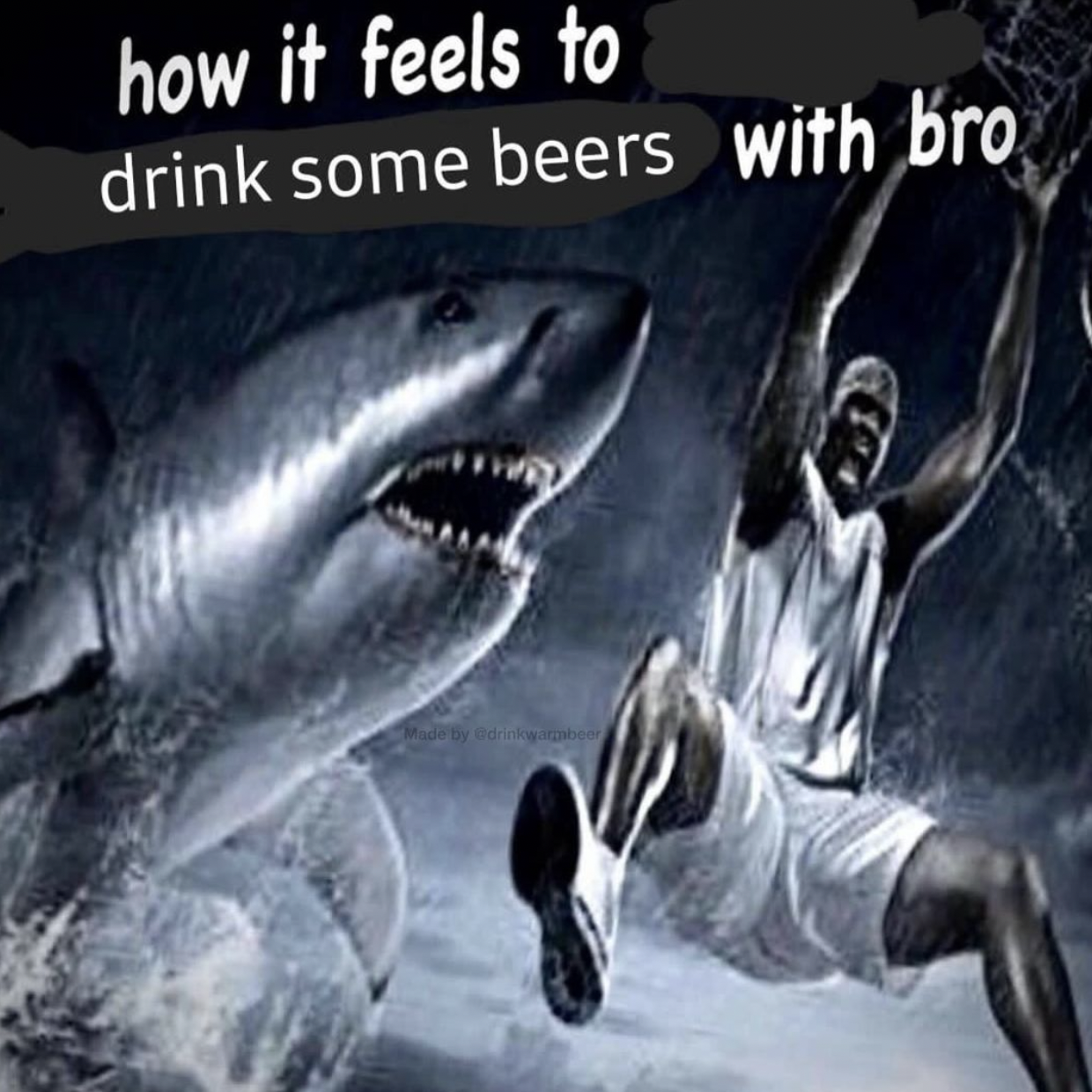 great white shark - how it feels to drink some beers with bro