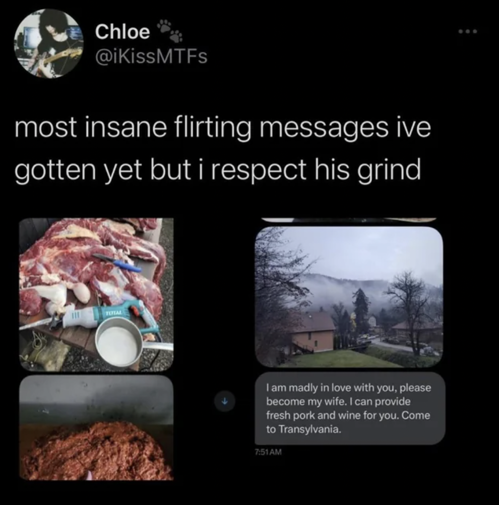 Flirting - Chloe most insane flirting messages ive gotten yet but i respect his grind I am madly in love with you, please become my wife. I can provide fresh pork and wine for you. Come to Transylvania. Am www