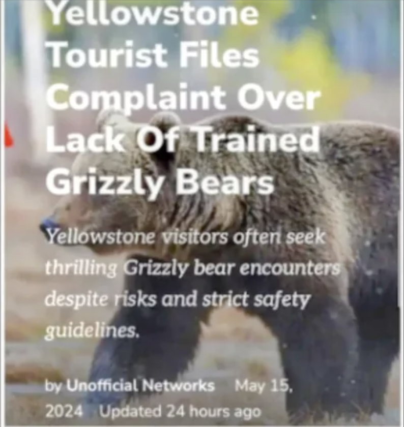 grizzly bear - Yellowstone Tourist Files Complaint Over Lack Of Trained Grizzly Bears Yellowstone visitors often seek thrilling Grizzly bear encounters despite risks and strict safety guidelines. by Unofficial Networks Updated 24 hours ago