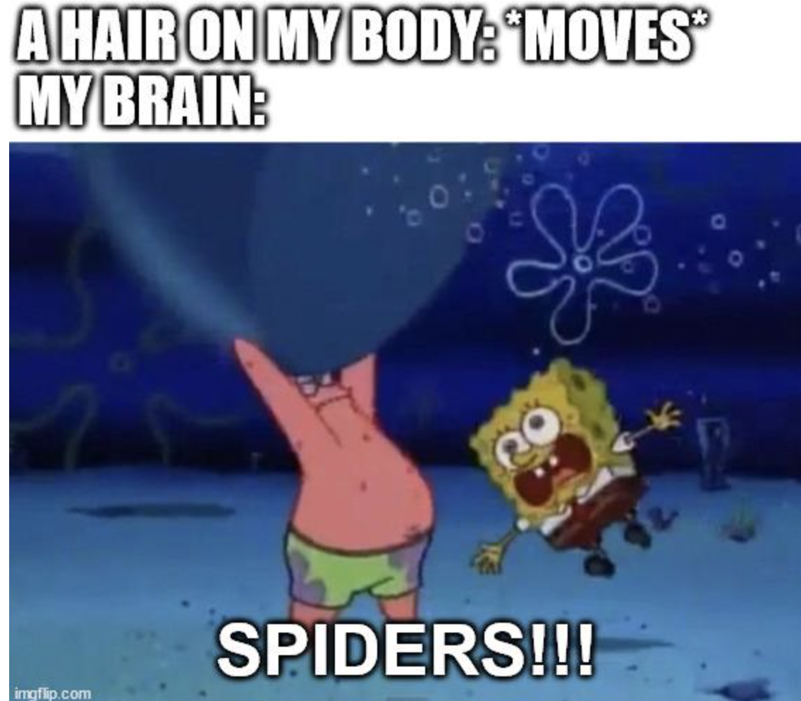 wholesome memes for friends - A Hair On My Body Moves My Brain imgflip.com Spiders!!!