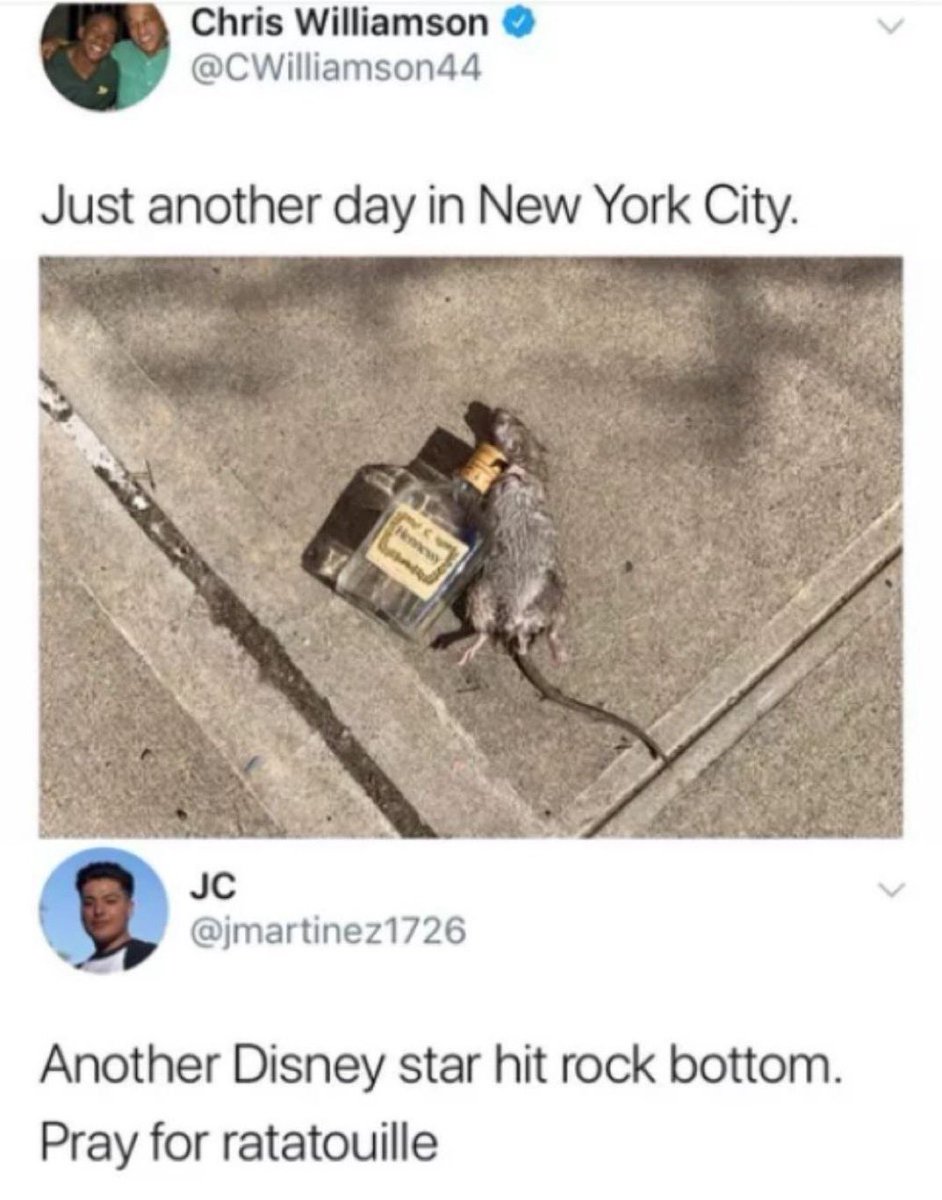 funny tweets june 2024 - hennessy rat - Chris Williamson Just another day in New York City. Jc Hennew Another Disney star hit rock bottom. Pray for ratatouille