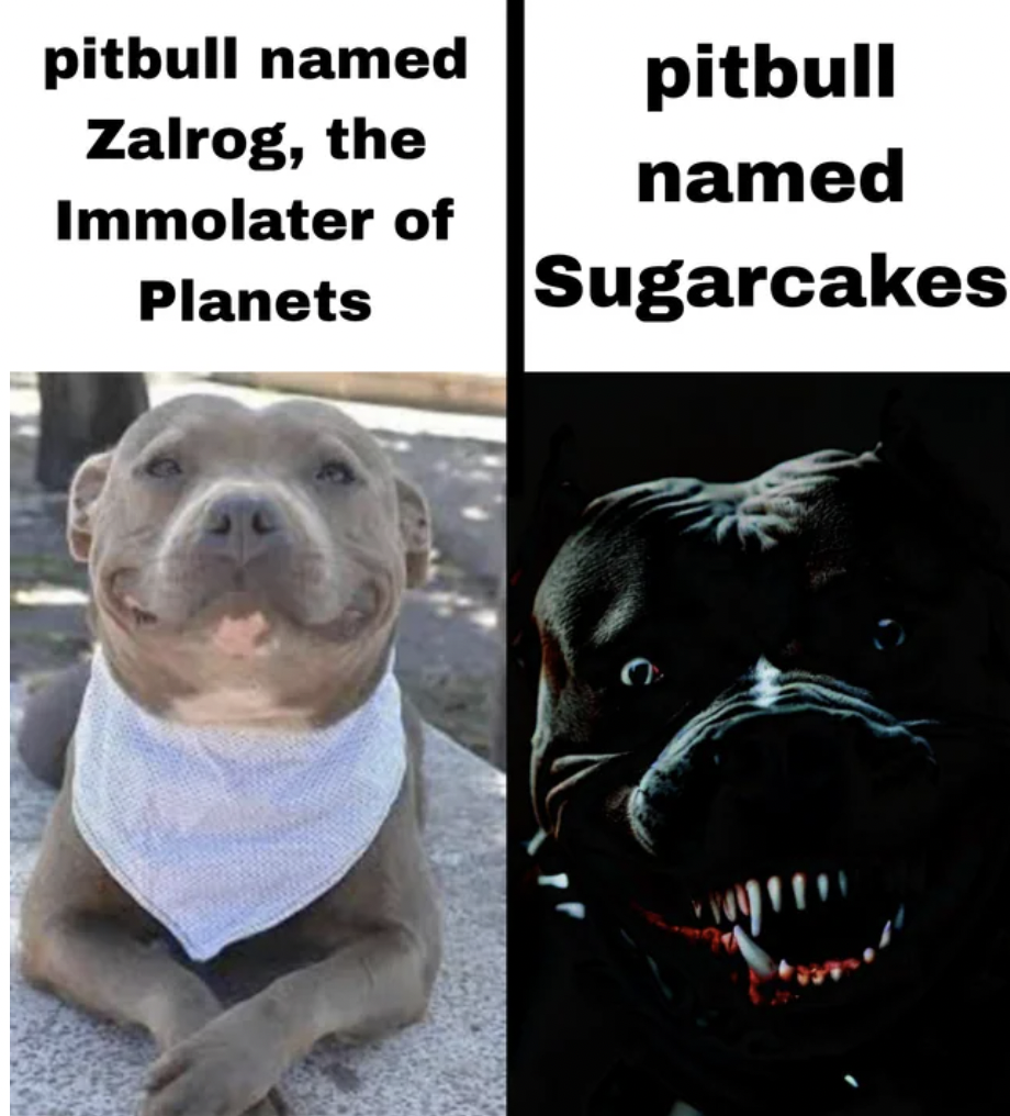 pitbull dog smile - pitbull named Zalrog, the Immolater of Planets pitbull named Sugarcakes