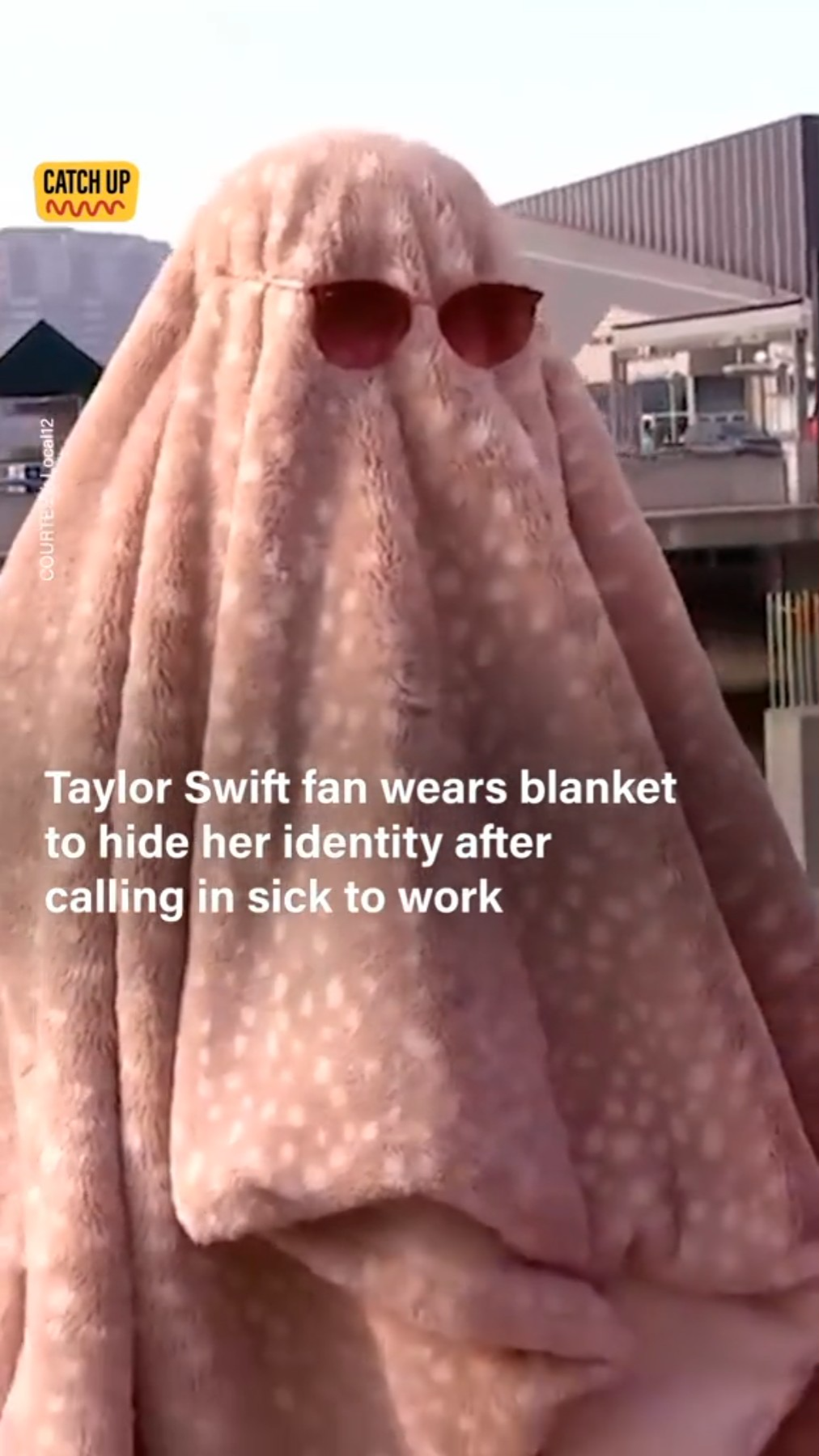octopus - Catch Up Taylor Swift fan wears blanket to hide her identity after calling in sick to work