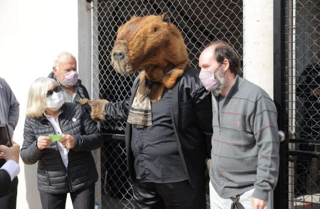 People going to vote disguised as capybaras in Argentinian elections.