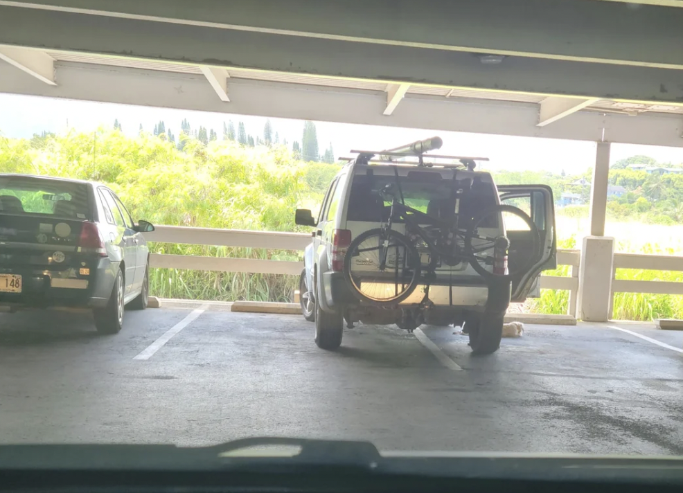 “How do people park like this and not feel anything? To make things worse, the guy has his tiny dog unleashed and laying down, moving from spot to spot.”