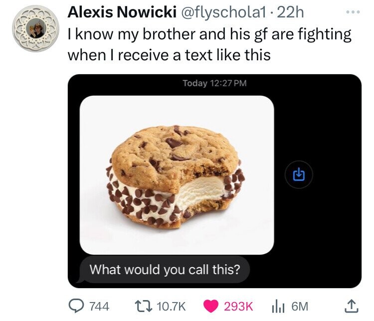 Chipwich Ice Cream Sandwich - Alexis Nowicki 22h I know my brother and his gf are fighting when I receive a text this Today What would you call this? 744 ili 6M