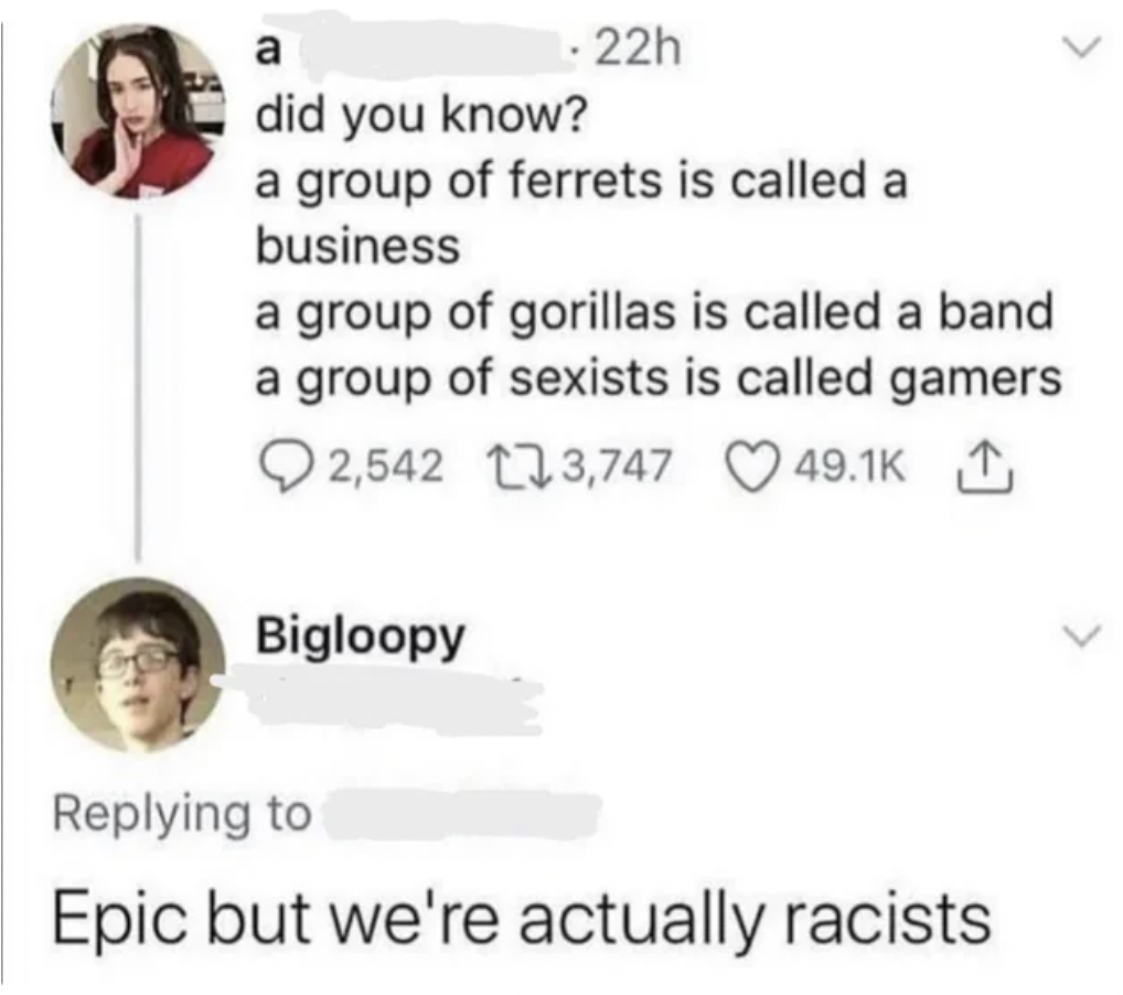 screenshot - > a did you know? 22h a group of ferrets is called a business a group of gorillas is called a band a group of sexists is called gamers 2,542 3,747 Bigloopy Epic but we're actually racists