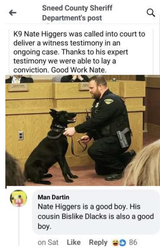 dobermann - Sneed County Sheriff Department's post K9 Nate Higgers was called into court to deliver a witness testimony in an ongoing case. Thanks to his expert testimony we were able to lay a conviction. Good Work Nate. a Man Dartin Nate Higgers is a goo