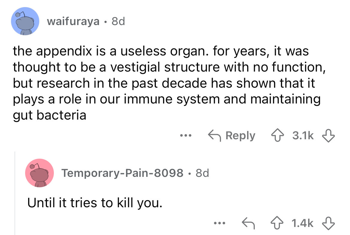 screenshot - waifuraya 8d the appendix is a useless organ. for years, it was thought to be a vestigial structure with no function, but research in the past decade has shown that it plays a role in our immune system and maintaining gut bacteria ... Tempora