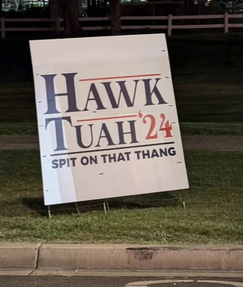 banner - Hawk Tuah 24 Spit On That Thang