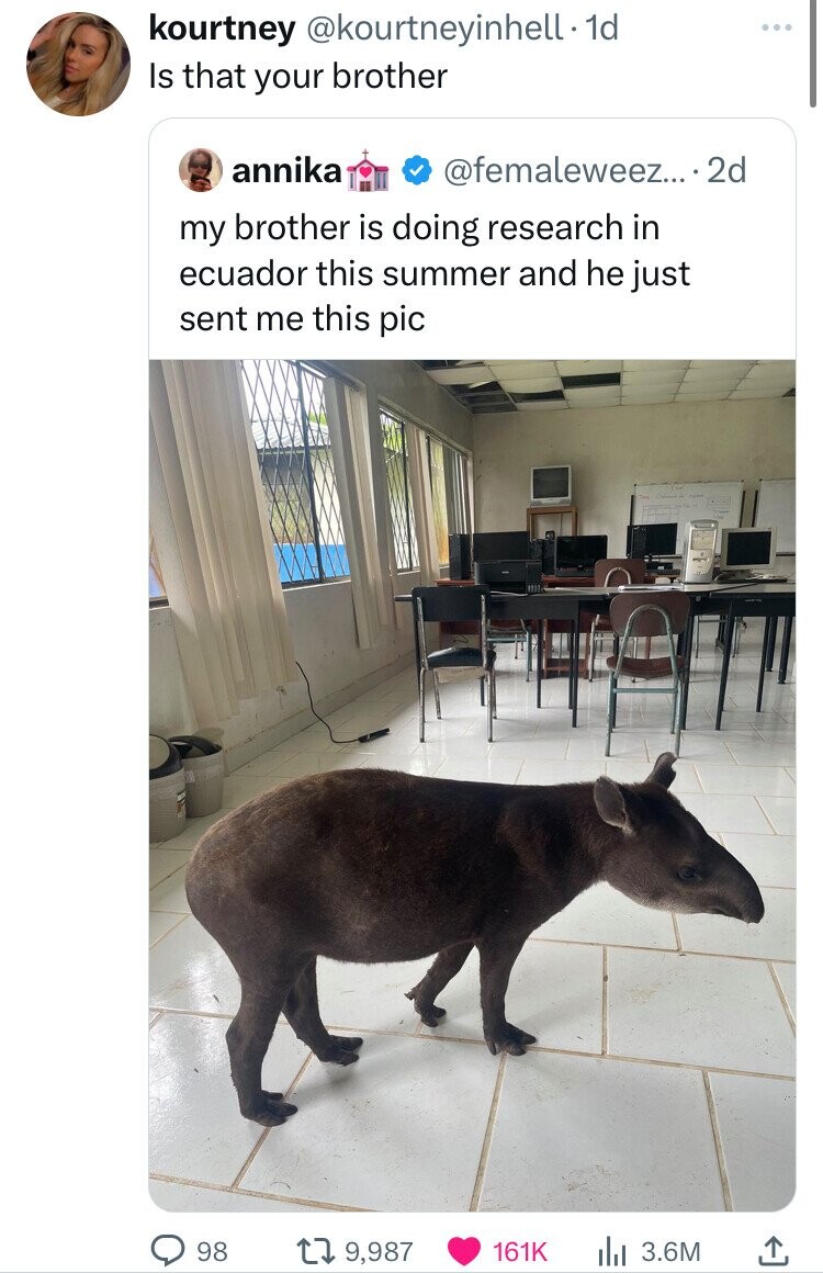tapir - kourtney. 1d Is that your brother annika .... 2d my brother is doing research in ecuador this summer and he just sent me this pic 98 19, l 3.6M