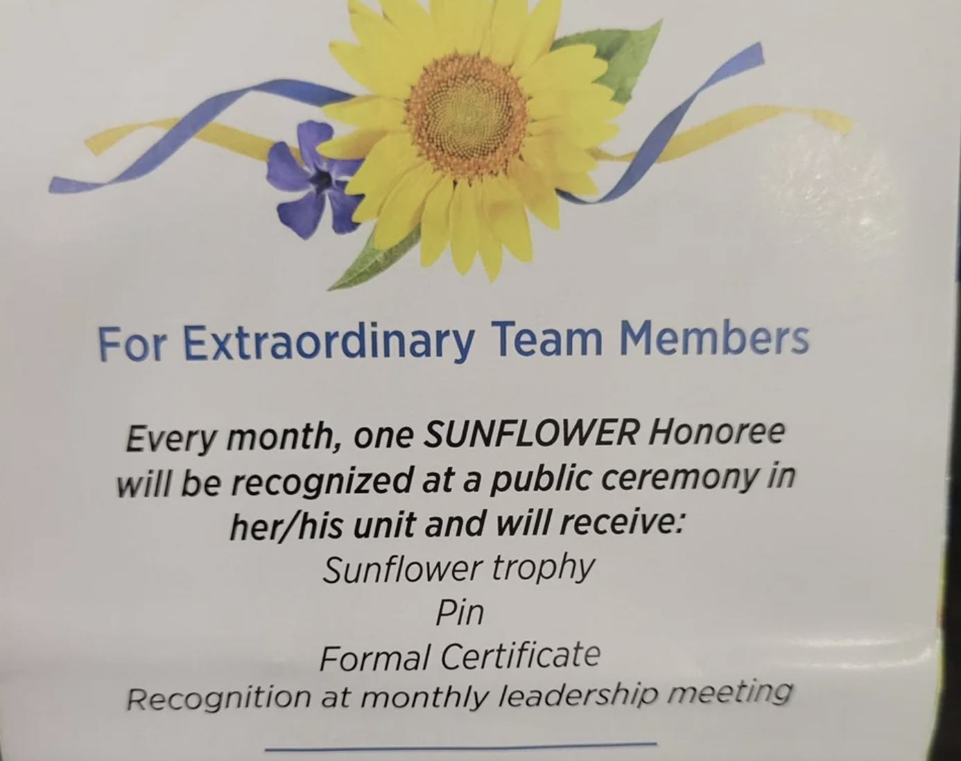 daisy - For Extraordinary Team Members Every month, one Sunflower Honoree will be recognized at a public ceremony in herhis unit and will receive Sunflower trophy Pin Formal Certificate Recognition at monthly leadership meeting