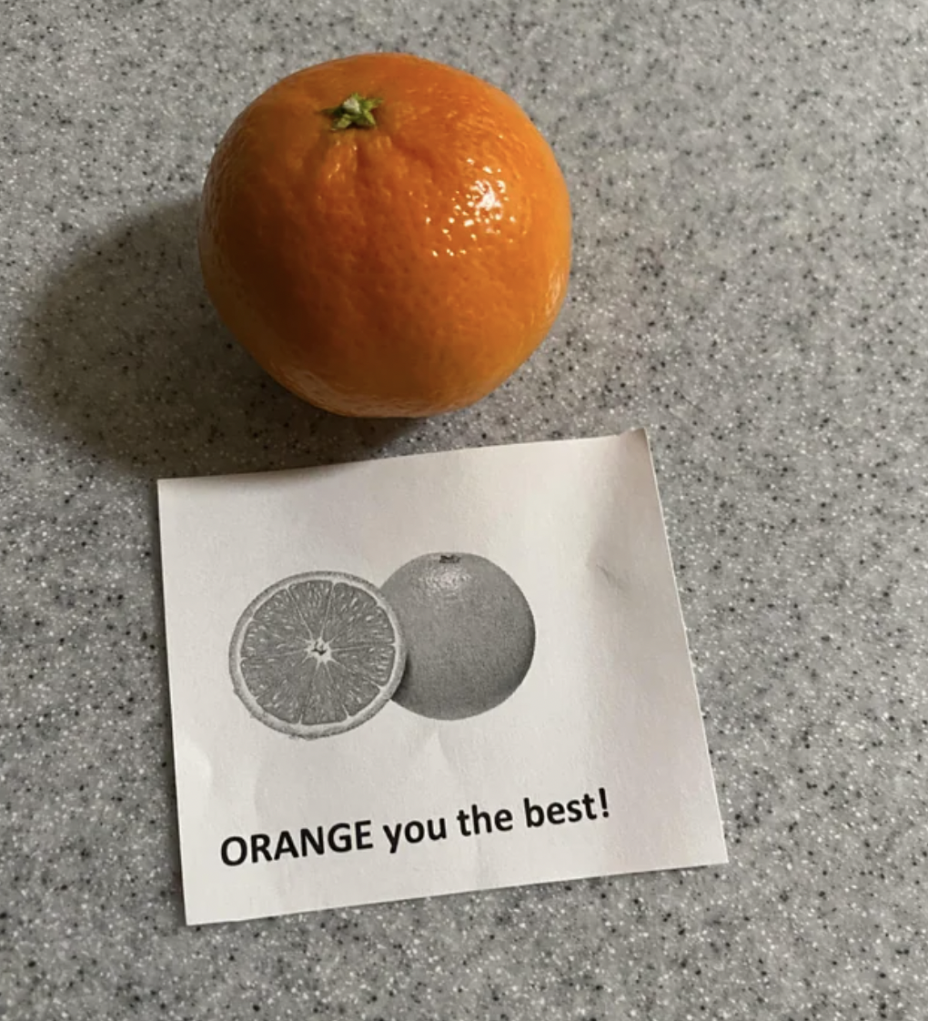clementine - Orange you the best!