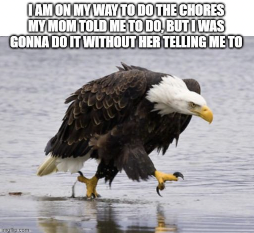 mad eagle walking - I Am On My Way To Do The Chores My Mom Told Me To Do, But I Was Gonna Do It Without Her Telling Me To imgflip.com