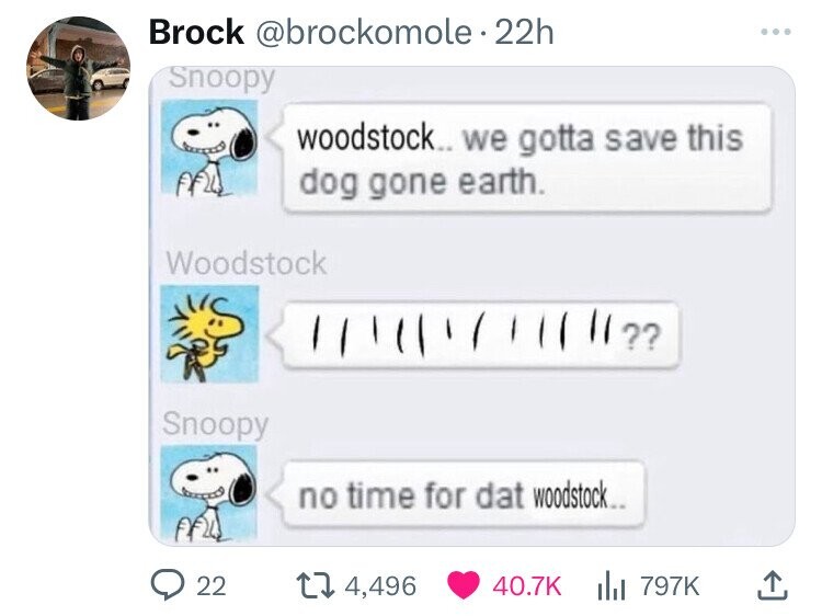woodstock we gotta save this dog gone earth - Brock 22h Snoopy woodstock... we gotta save this dog gone earth. Woodstock Snoopy no time for dat woodstock... 22 14,496