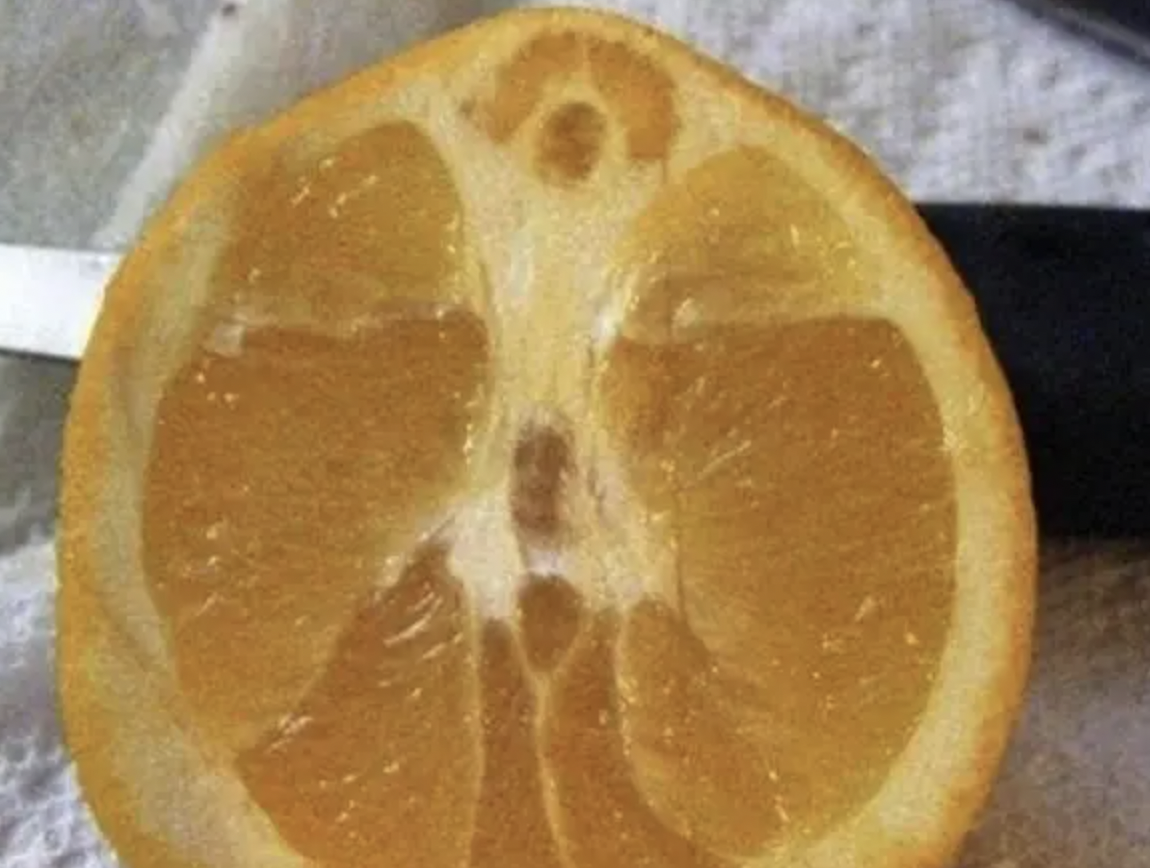 jesus citrus